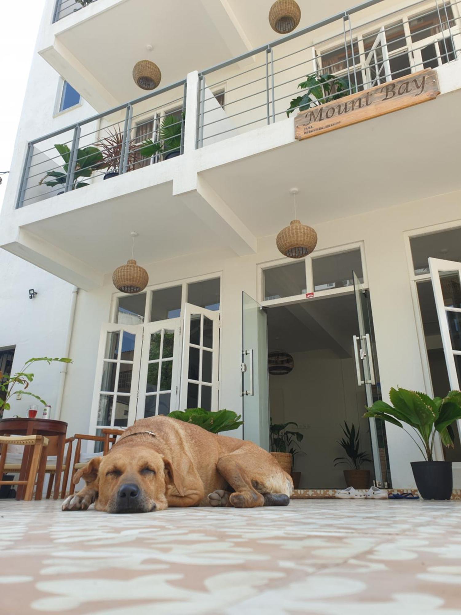 Mountbaylk Hotel Dehiwala-Mount Lavinia Luaran gambar